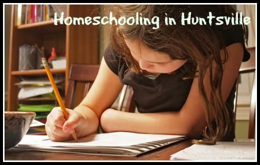 The Business of Homeschooling: Tips from an Educator & Pro