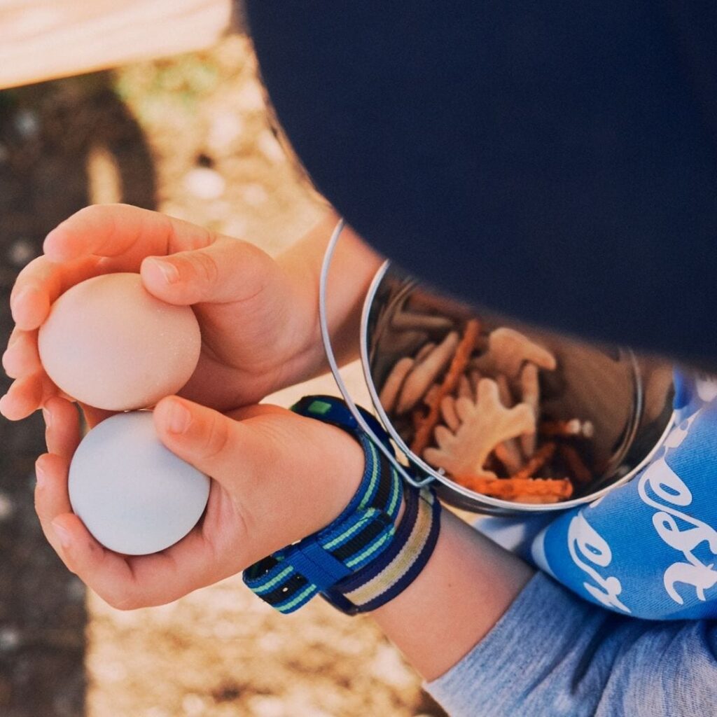 Haven Farms offer the perfect place to slow down and recharge