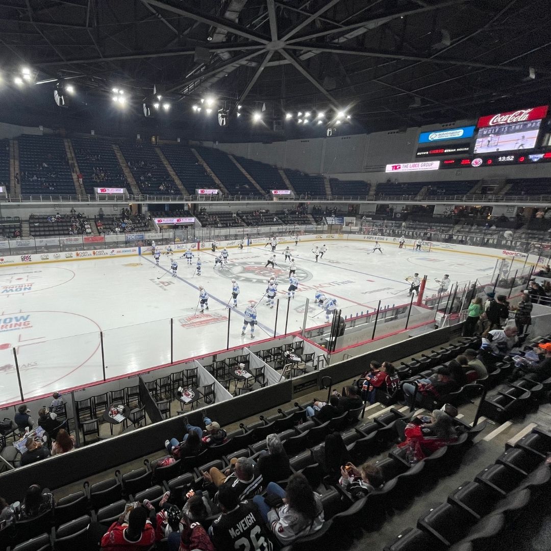 A Newbie's Guide to a Huntsville Havoc Hockey Game