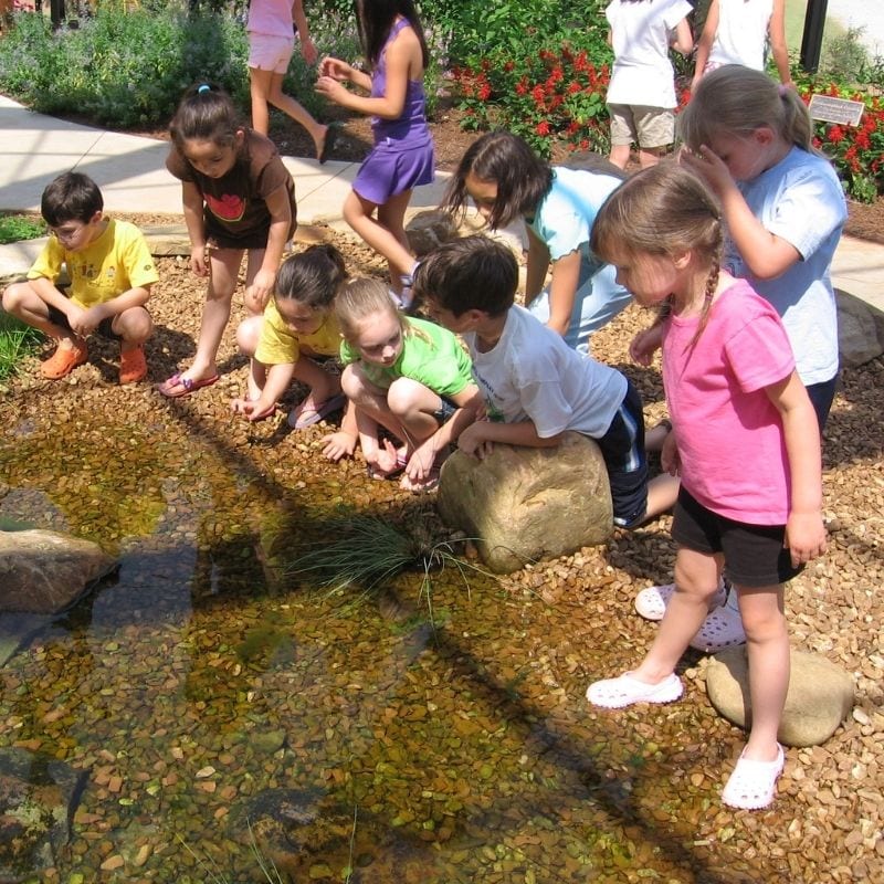 Huntsville Botanical Garden offers nature filled summer camps