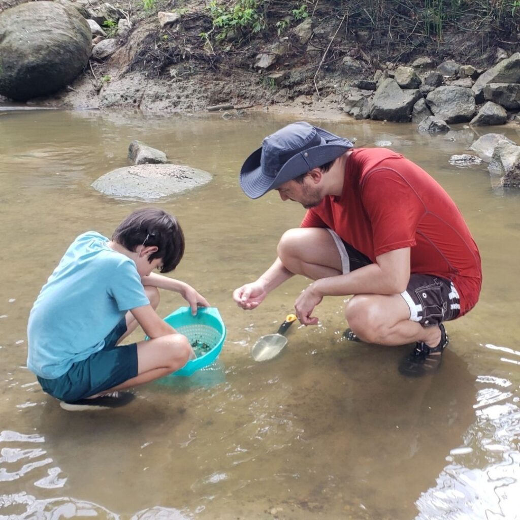 Hunt for Prehistoric Shark Teeth & Fossils on this Huntsville Roadtrip