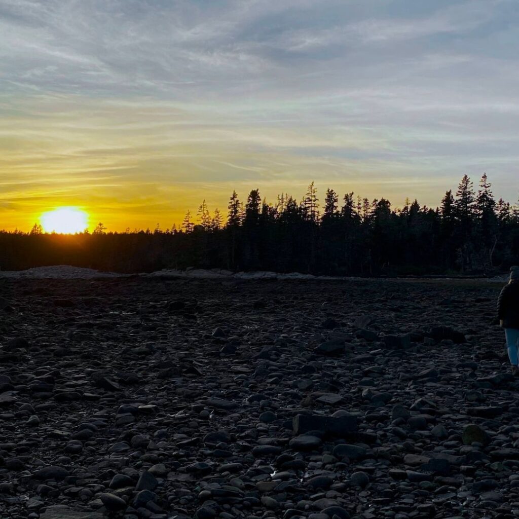 A Stillbirth is Still a Birth