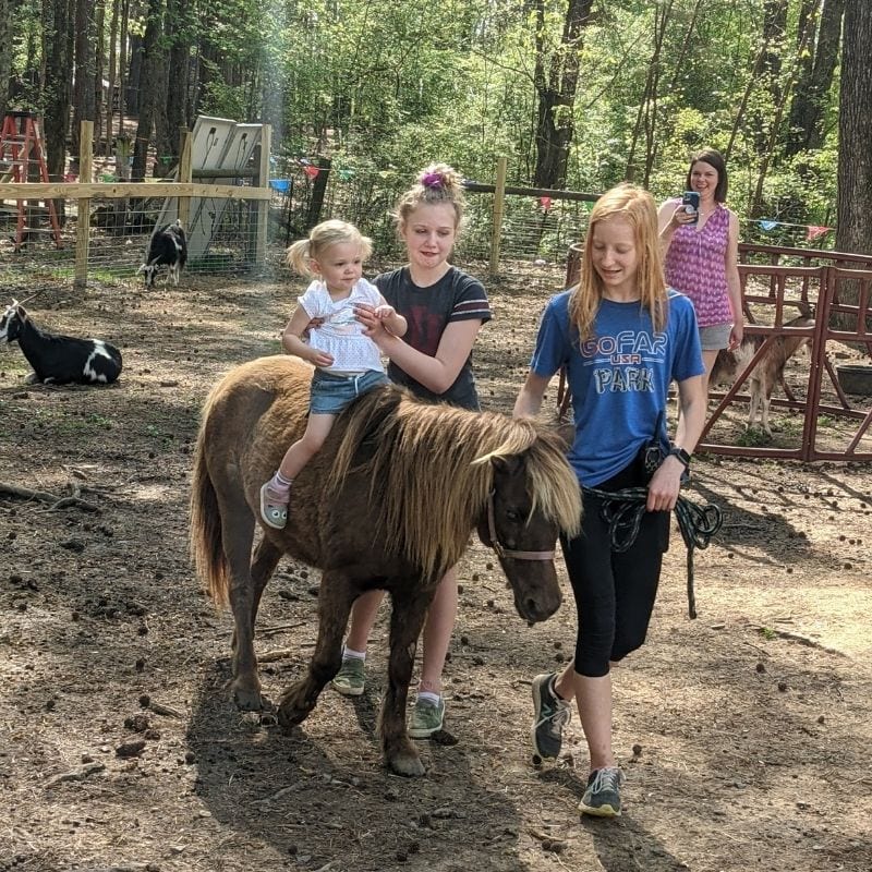 Burn Some Energy at GoFAR USA Park in Decatur