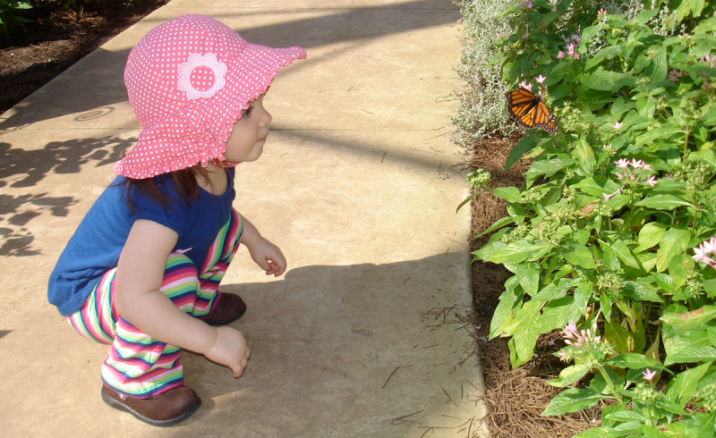 Huntsville Botanical Garden