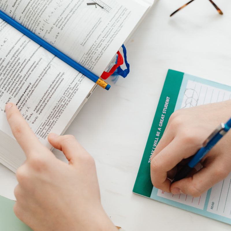 How Important are Executive Functioning Skills?