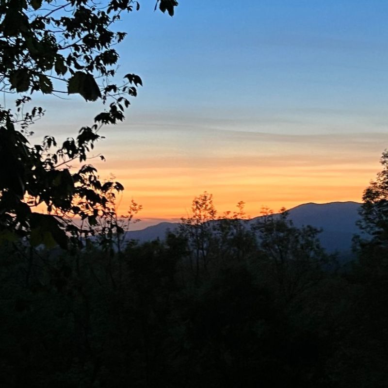 Escape into the North Georgia Mountains at Blue Ridge Georgia