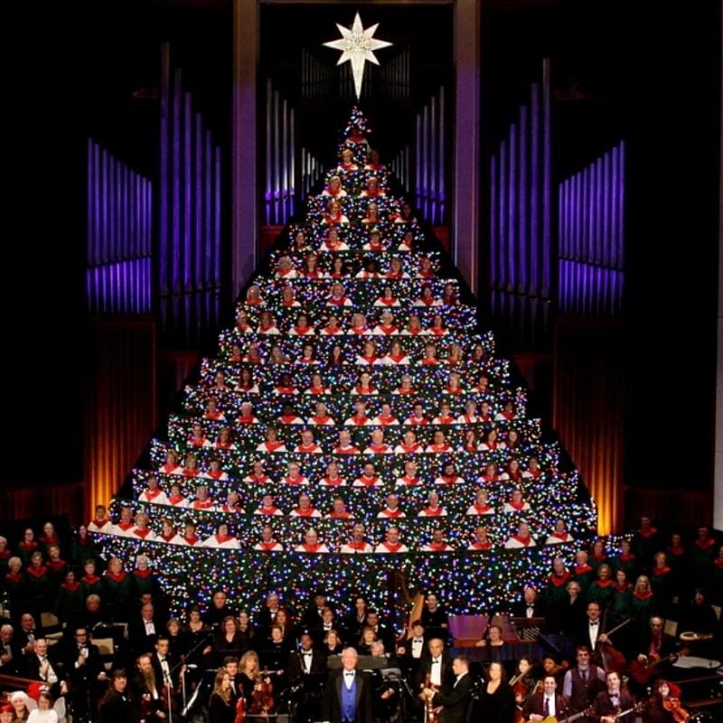 The Living Christmas Tree Is Back for 2024