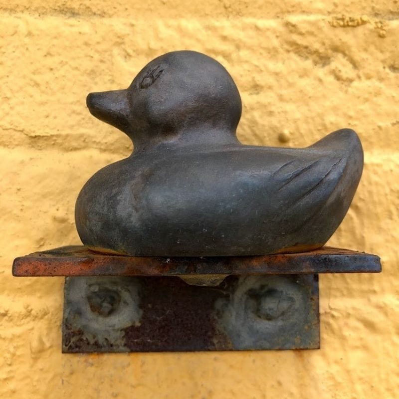 Go Duck Hunting in Huntsville!