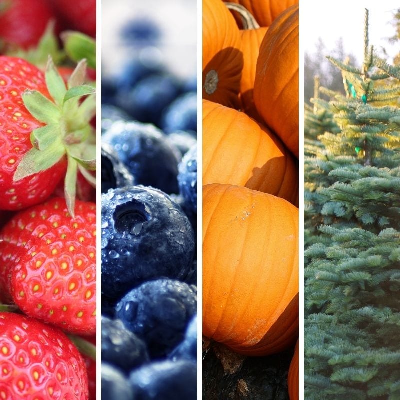 North Alabama Farms for Every Season