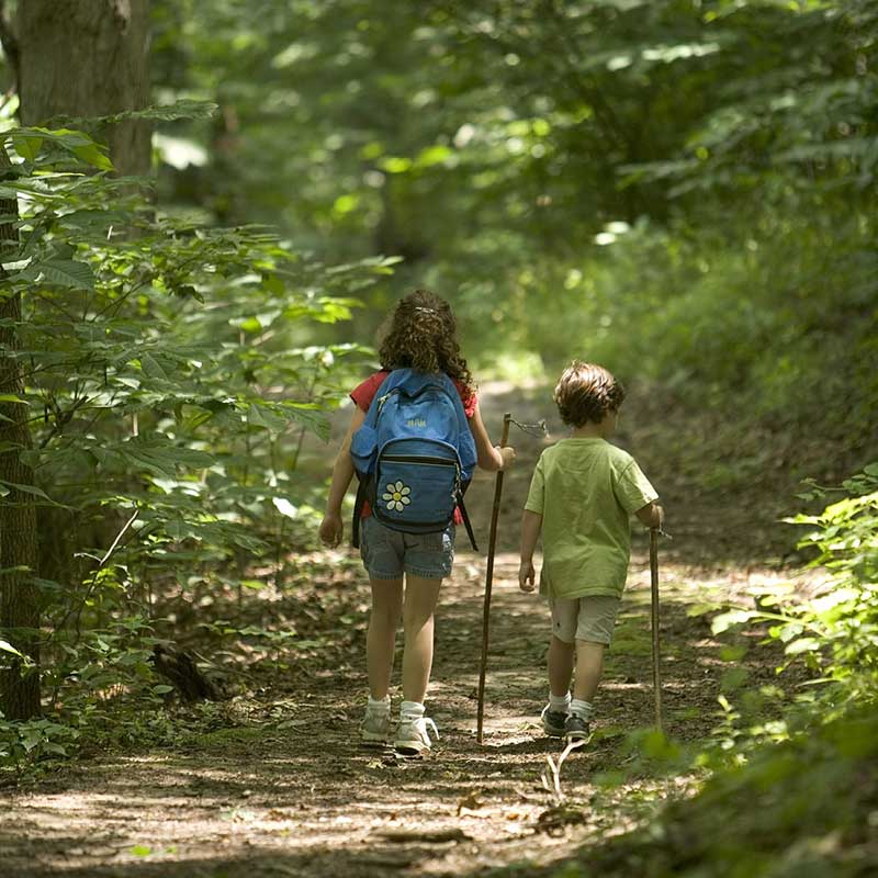 Beginner Hikes in North Alabama for Kids & Families
