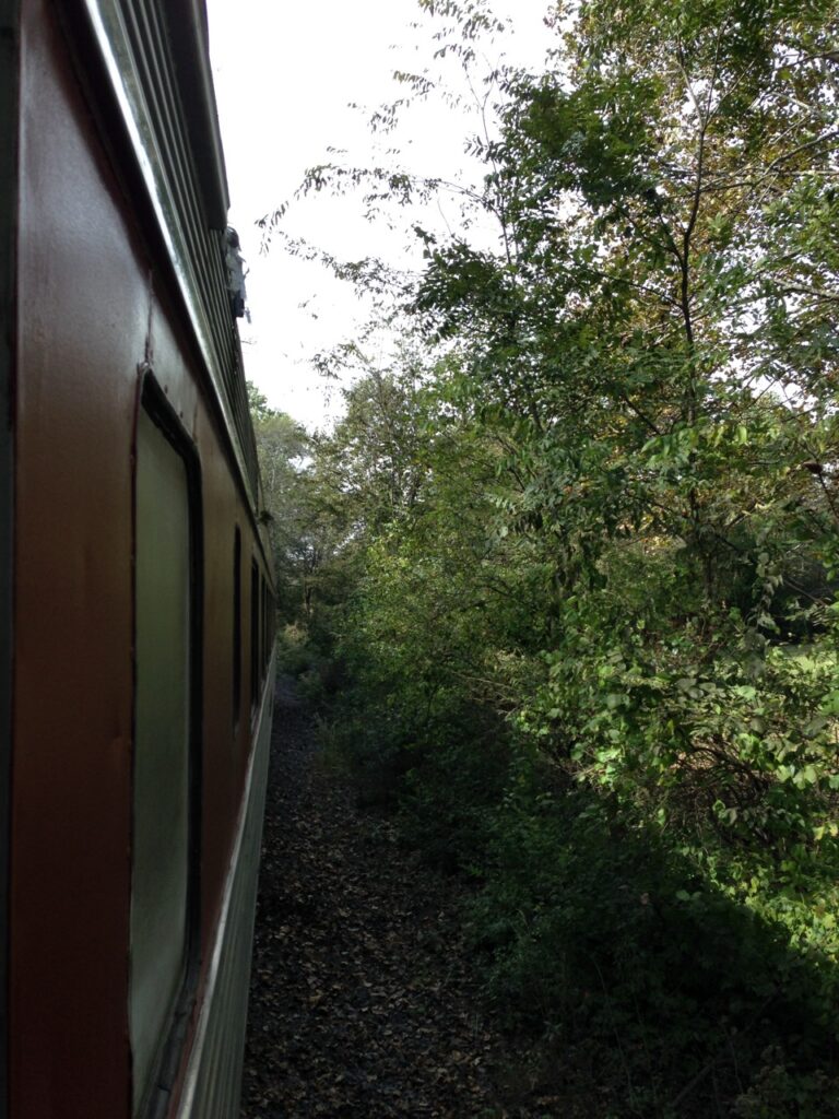 Summer Train Rides at the North Alabama Railroad Museum