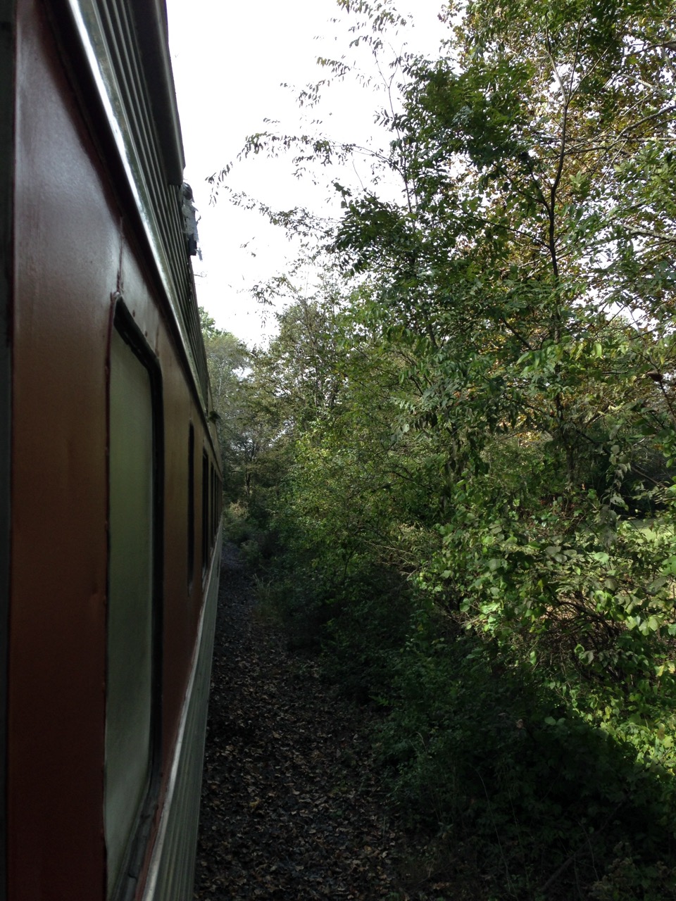 Summer Train Rides at the North Alabama Railroad Museum