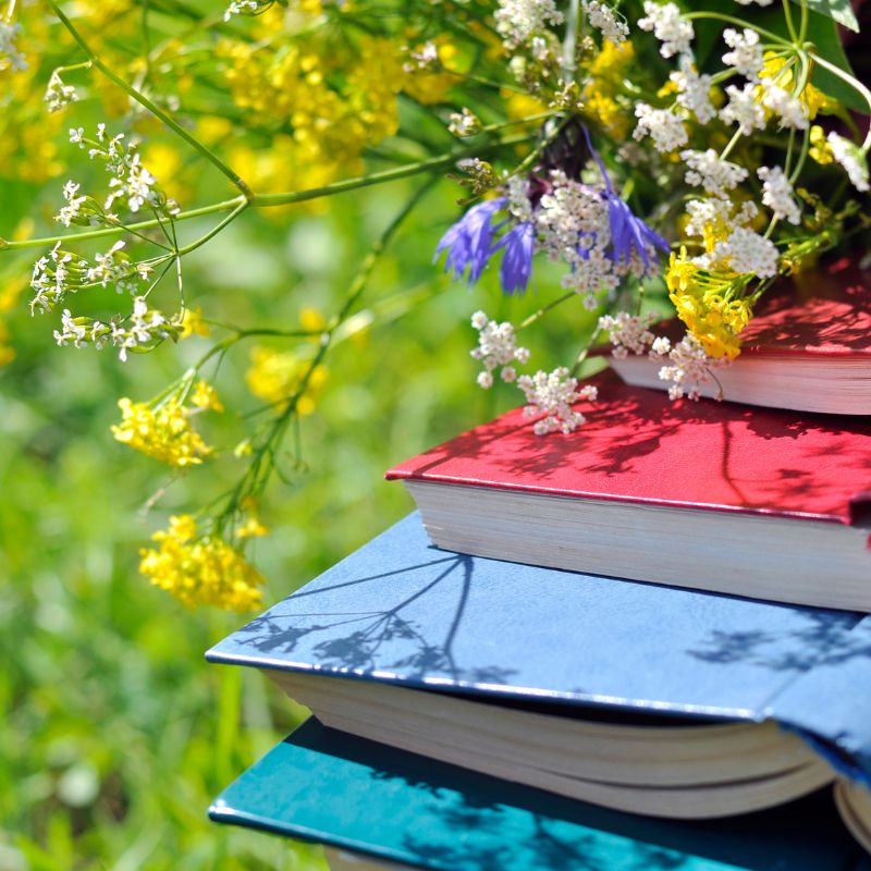 Summer Storytimes and Activities in Huntsville, Madison and Madison County