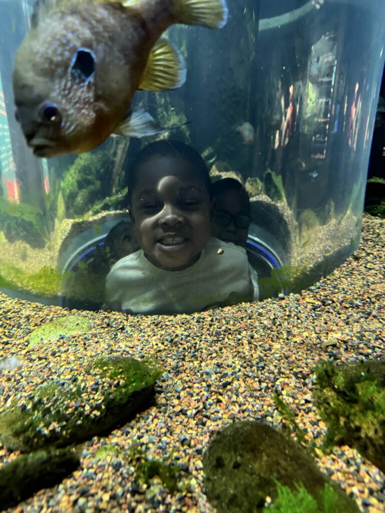 Tennessee Aquarium in Chattanooga