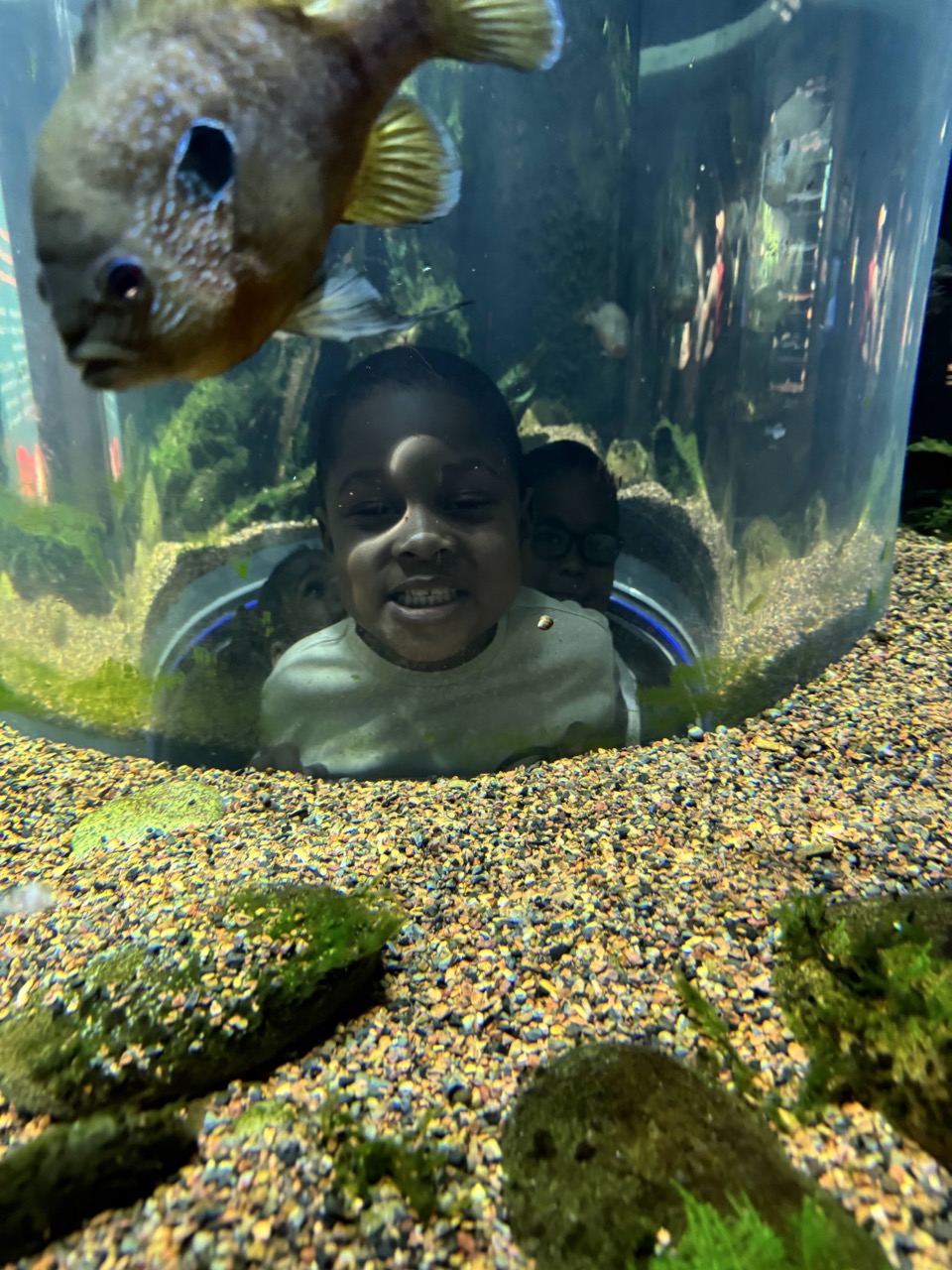 Tennessee Aquarium in Chattanooga