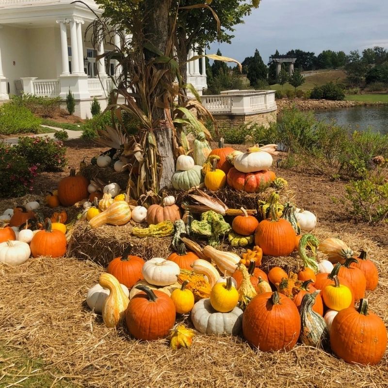 10 Magical Reasons to Visit The Garden This Fall