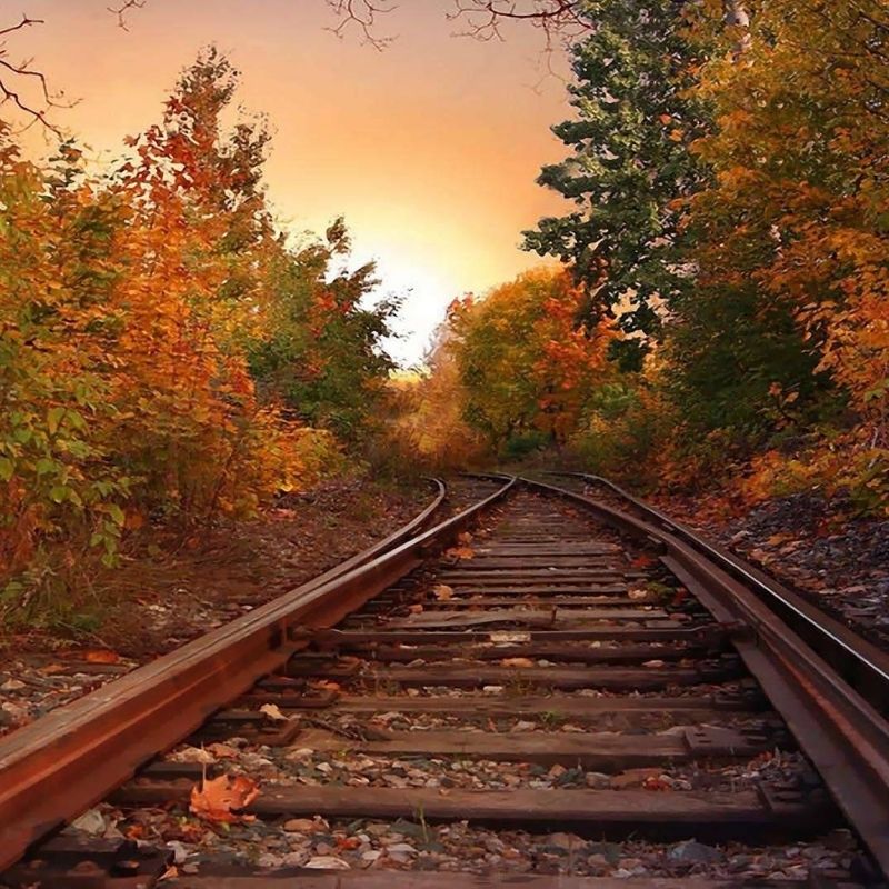 Fall Train Rides to the Pumpkin Patch