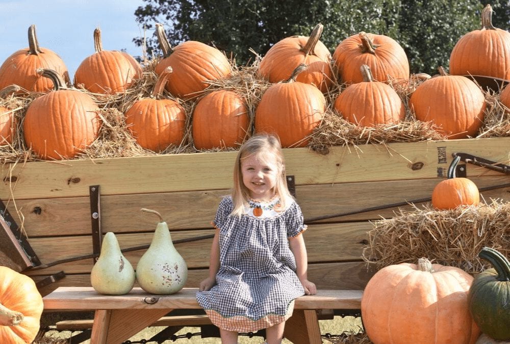 Visiting Tate Farms in Meridianville this fall