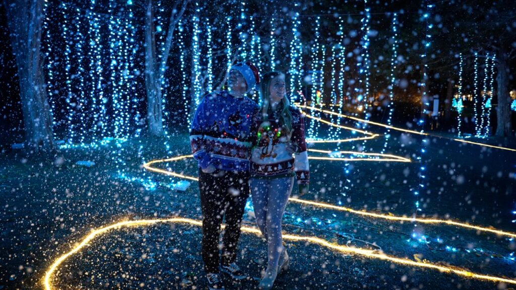 Parent Review: Galaxy of Lights Walking Nights