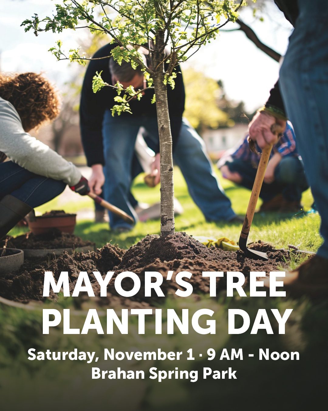 Mayor’s Tree Planting Day