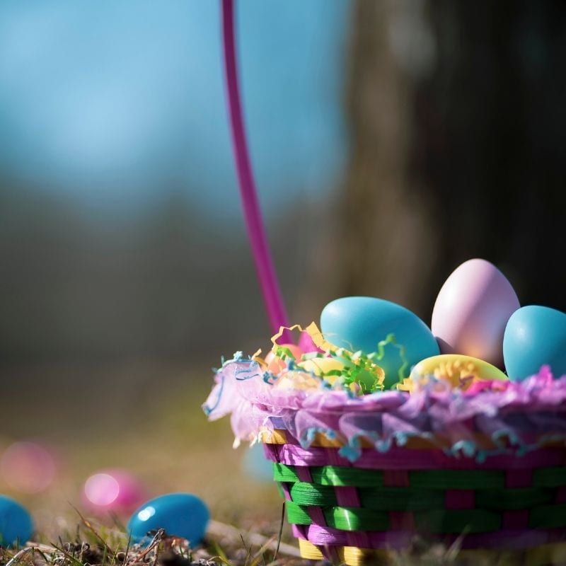 2026 Easter Egg Hunts and Bunny Sightings in Huntsville and North Alabama