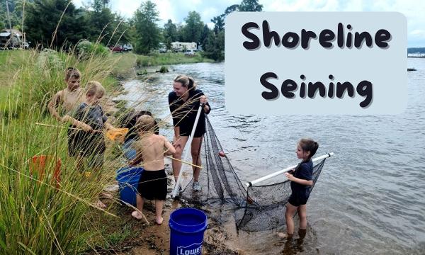 Shoreline Seining | Lake Guntersville State Park