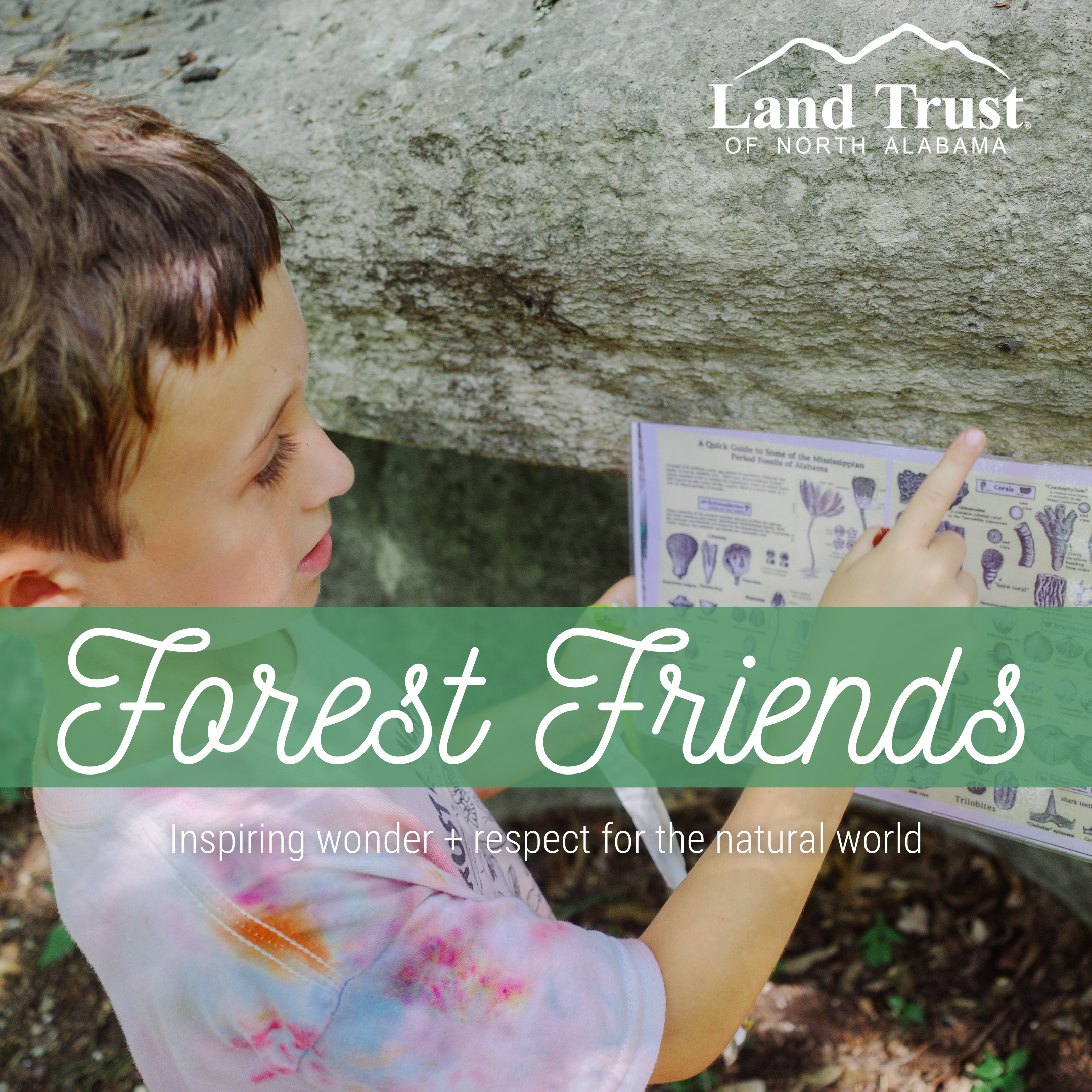 Little Forest Friends