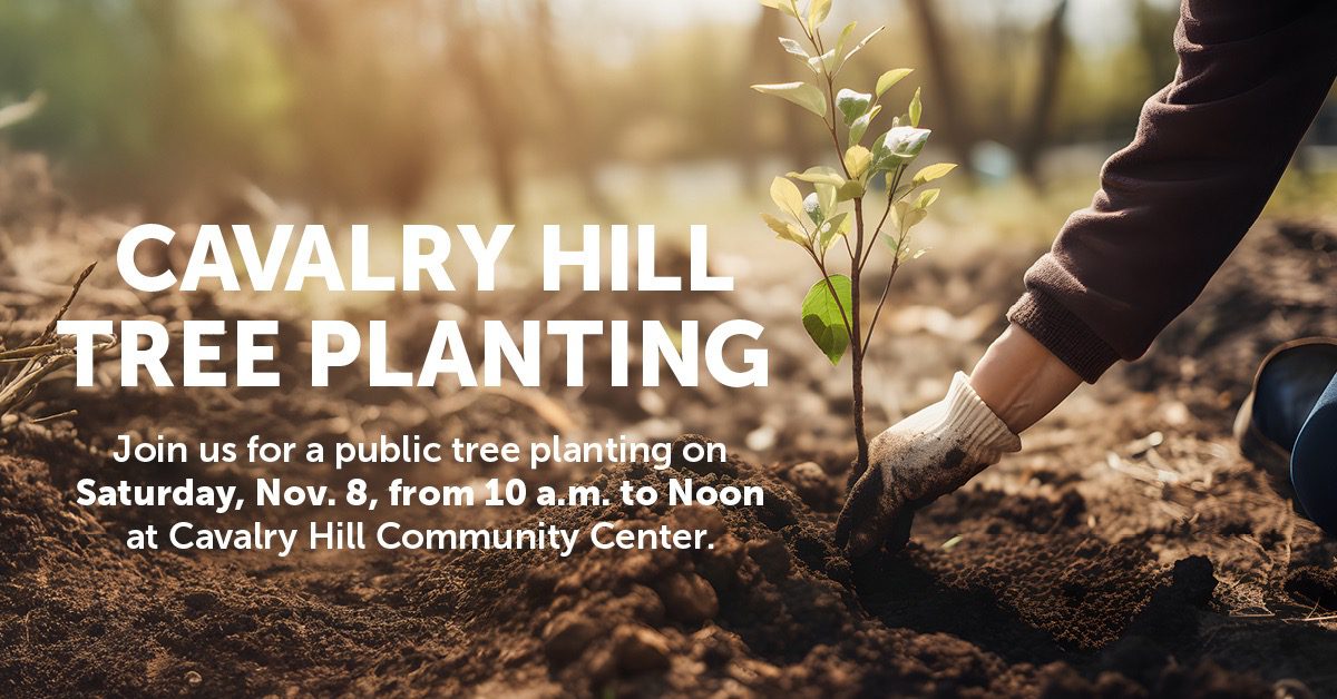 Cavalry Hill Tree Planting
