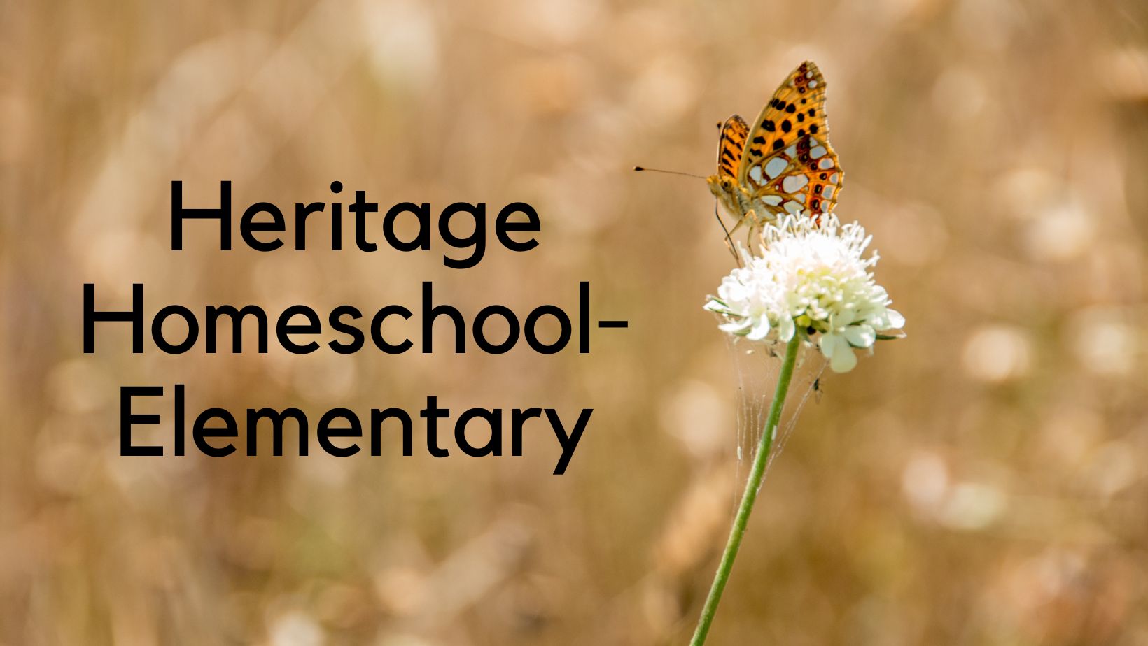 Heritage Homeschool- Elementary (Cullman)
