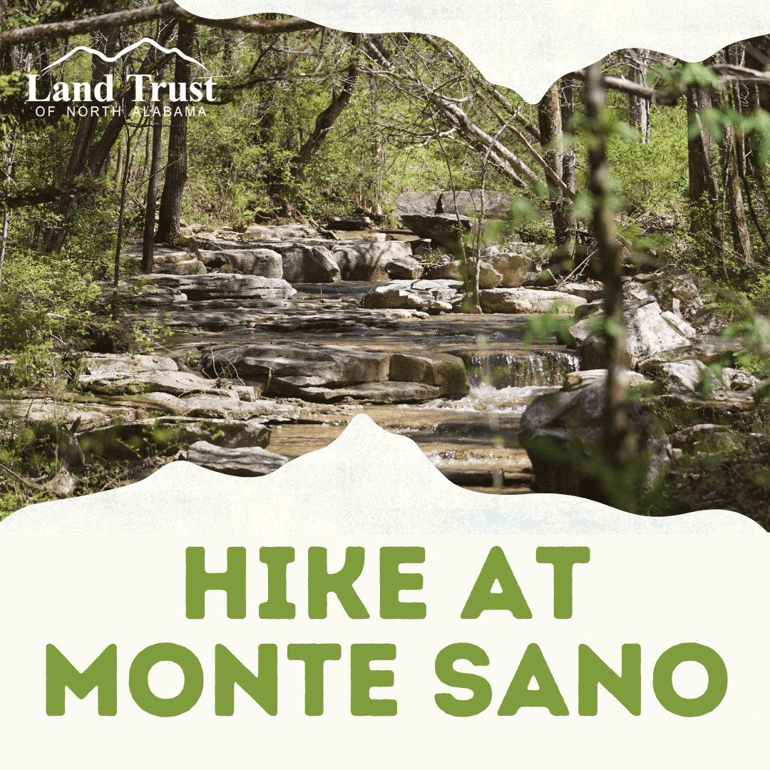 Hike at Monte Sano Oak Park