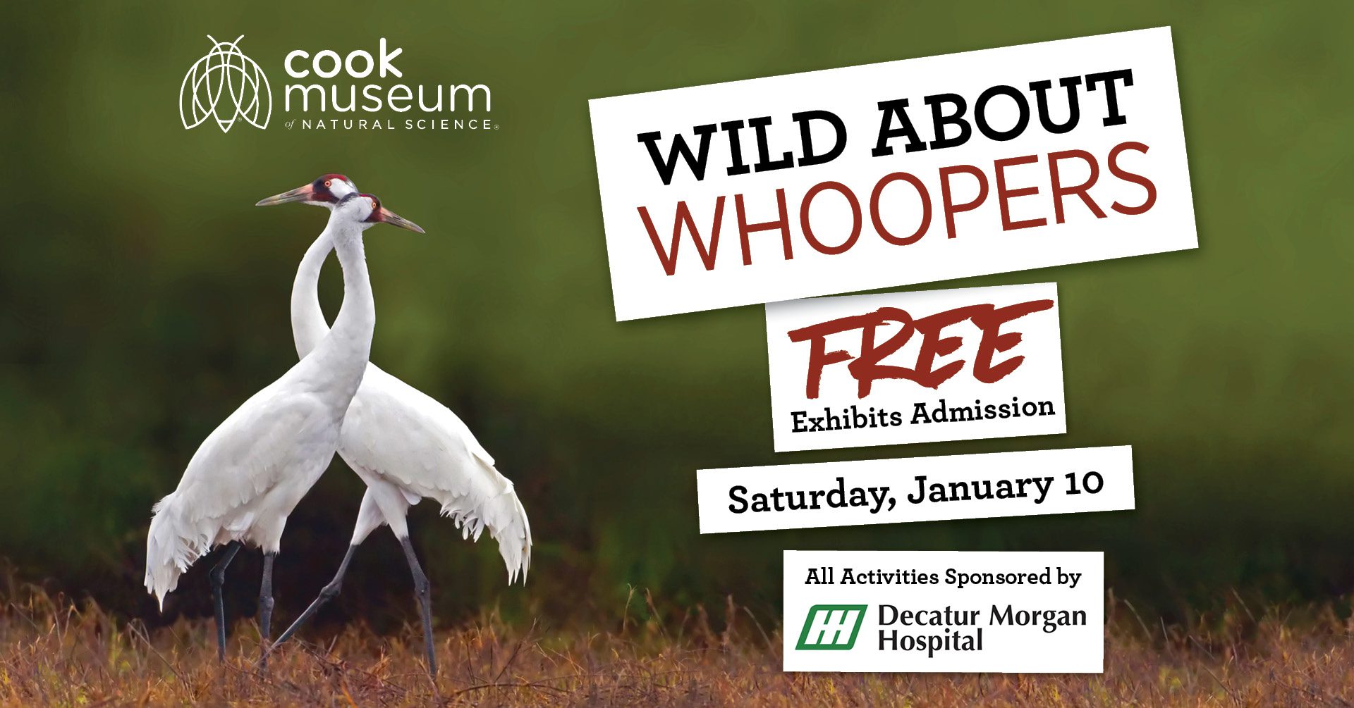 Wild About Whoopers (Decatur)