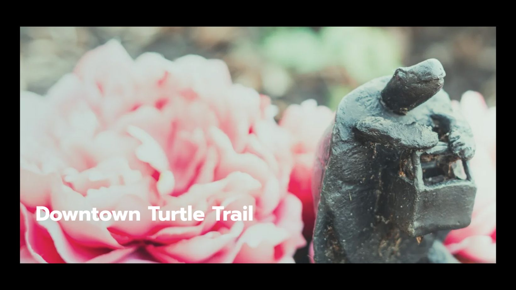 Downtown Turtle Trail (Decatur)