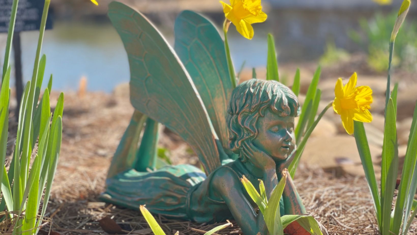 Fairies at the Garden