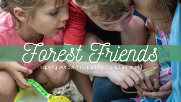 Little Forest Friends