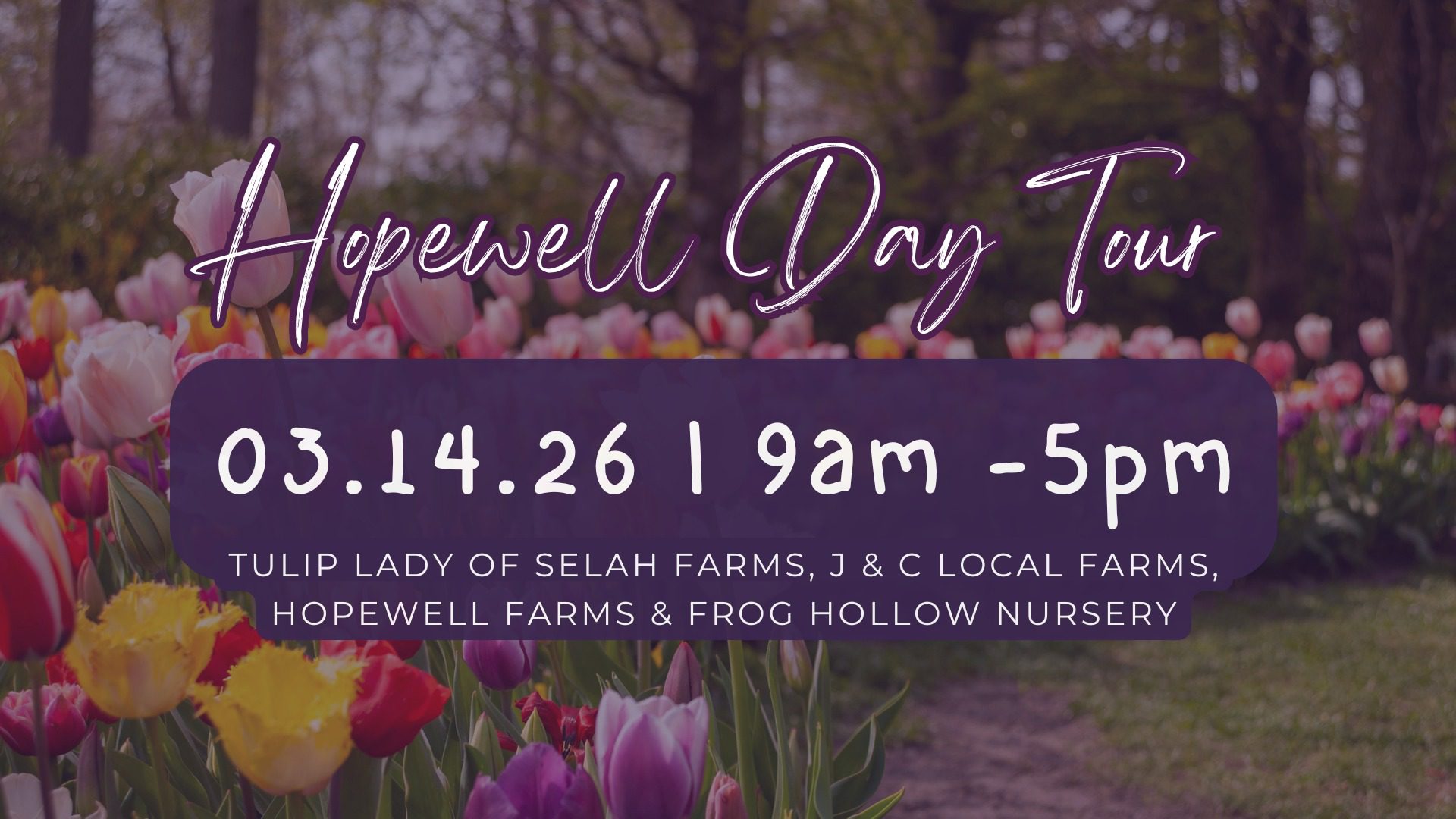 Hopewell Day Tour (Arab)