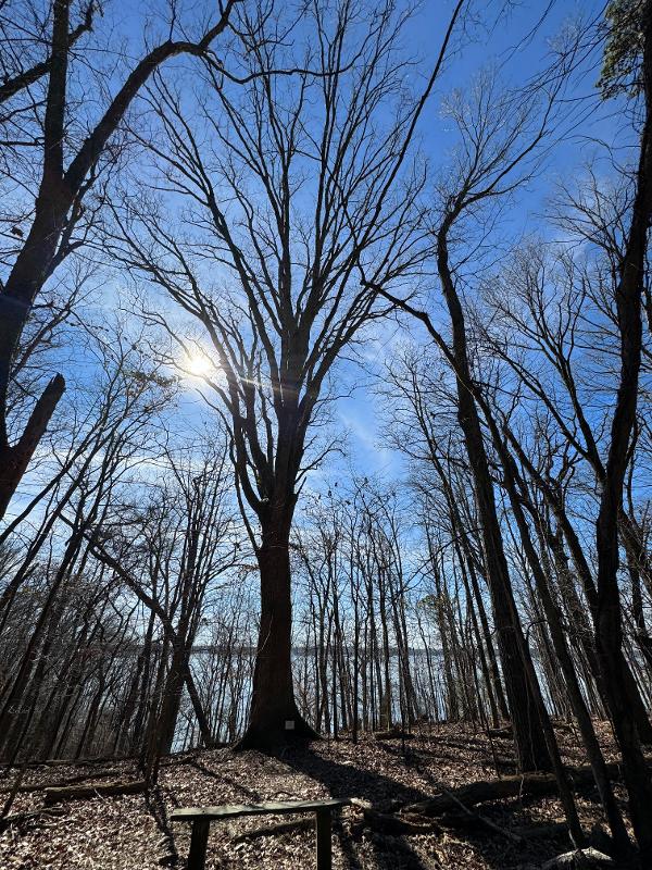 Scavenger Hunt at Joe Wheeler State Park