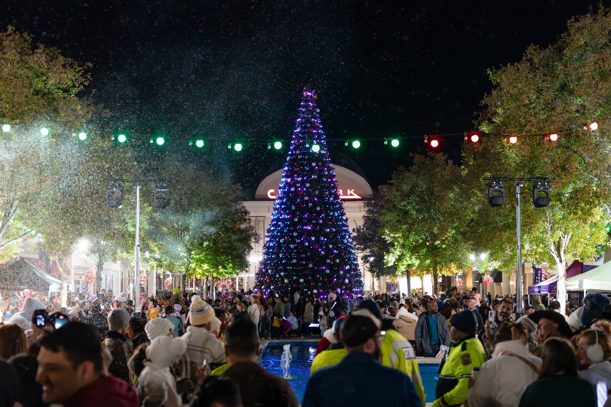 Lights Up! Holiday Kick-off at Bridge Street