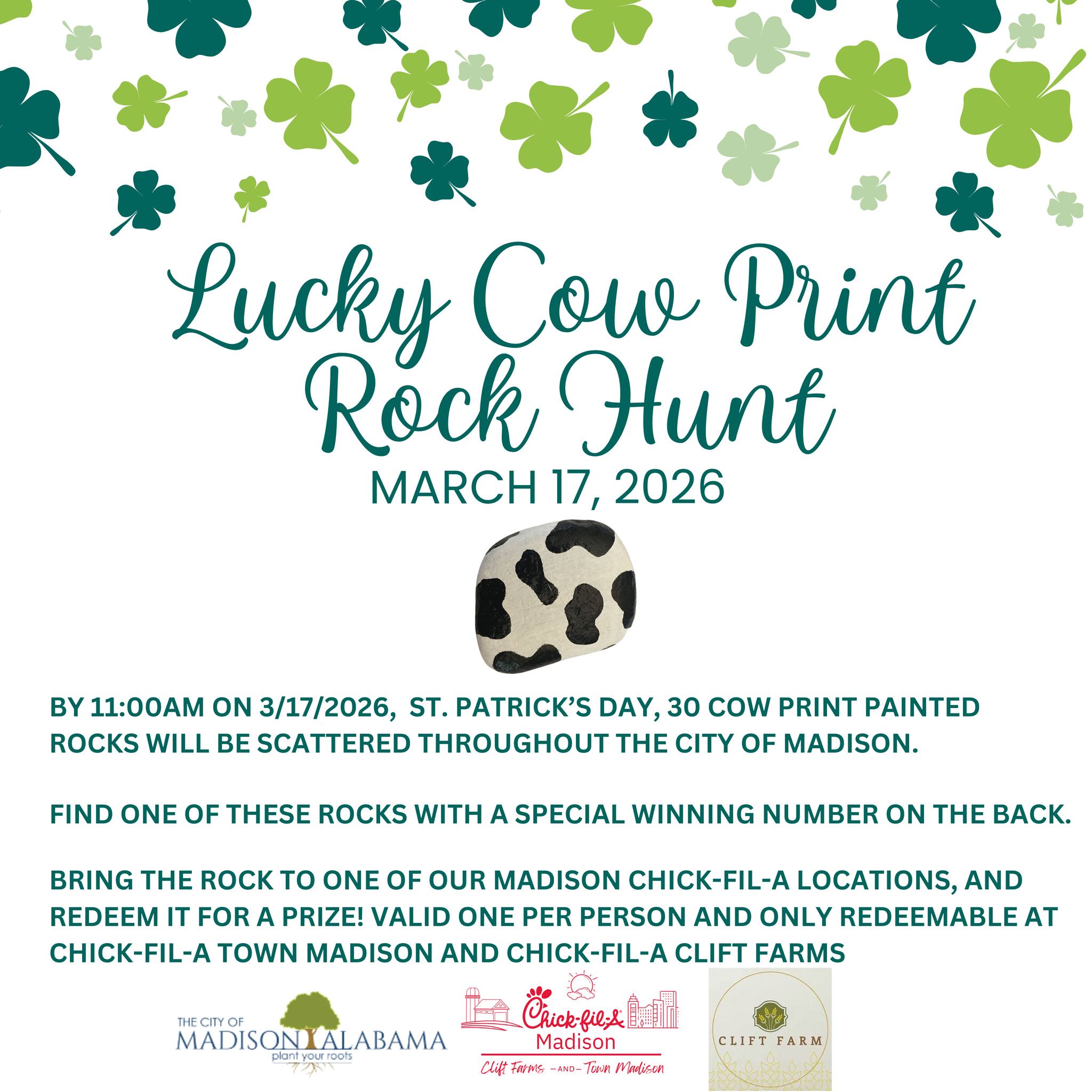 Lucky Cow Print Rock Hunt