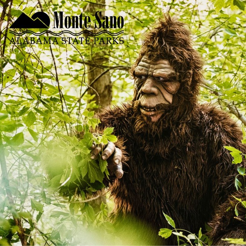 Fascinating Wildflowers at Monte Sano State Park