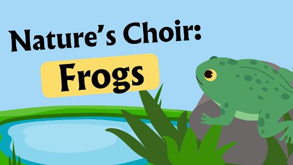 Nature’s Choir: Frogs (Guntersville)