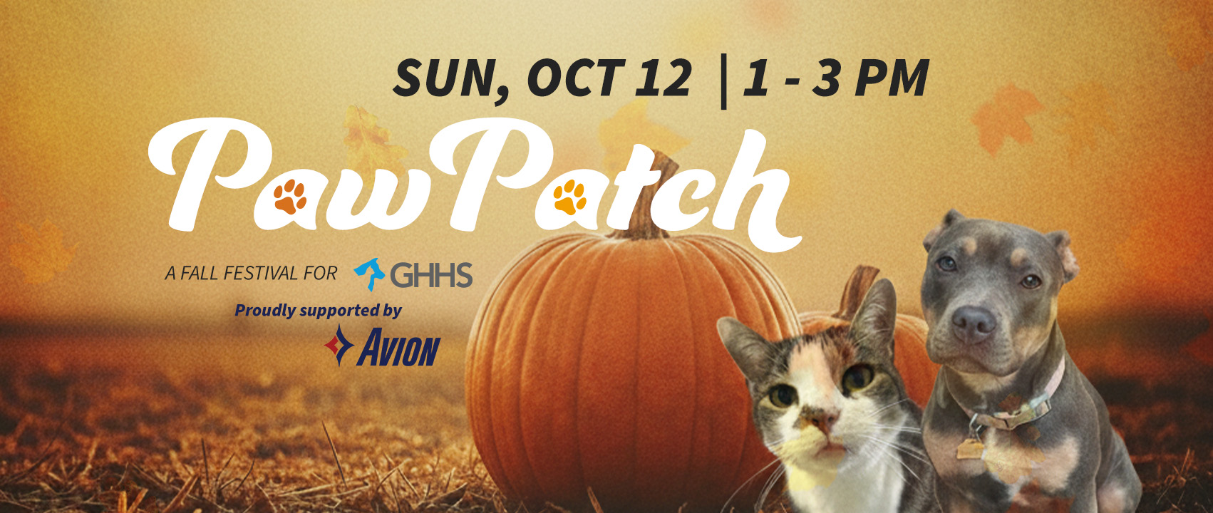 Paw Patch Fall Festival