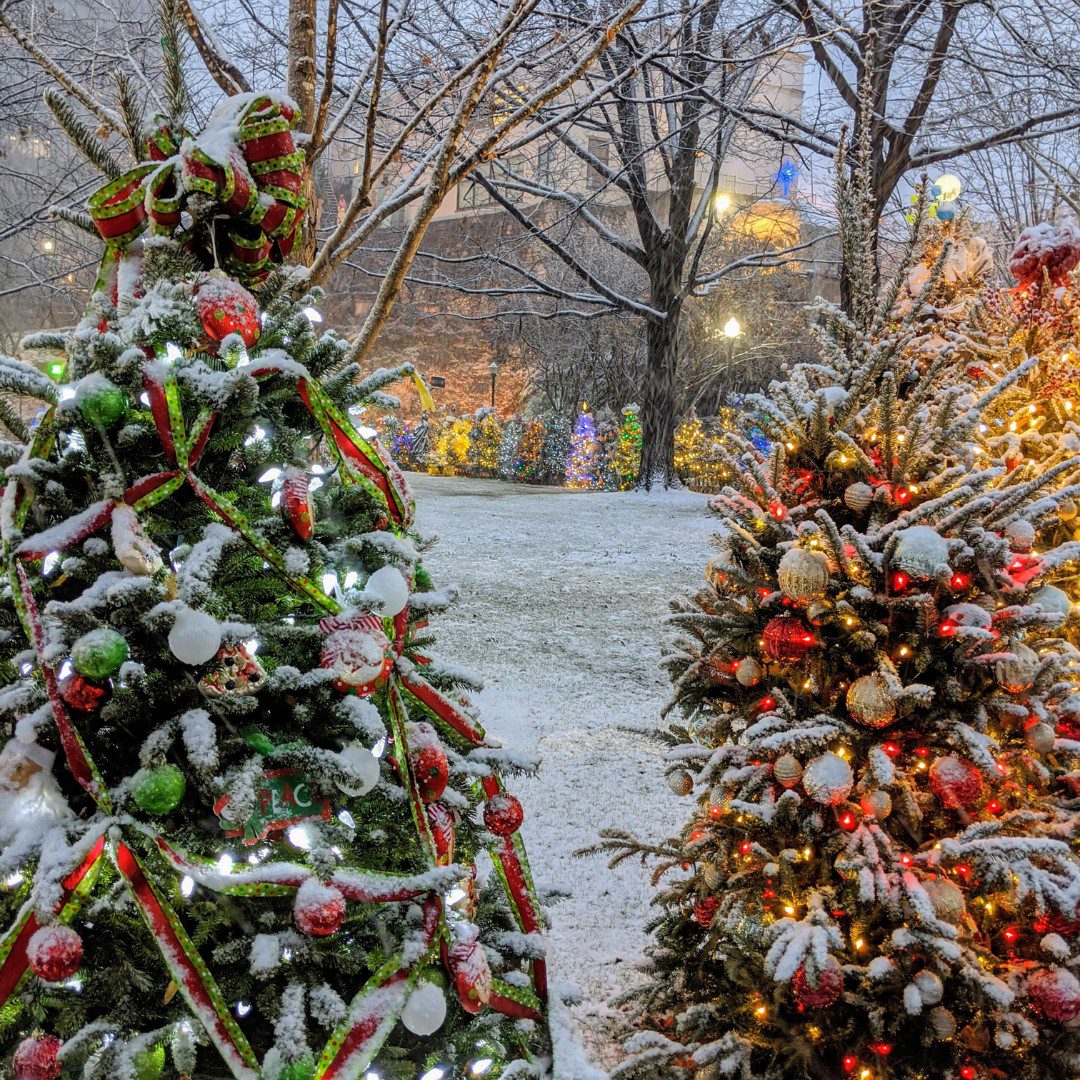 Pictures in the Park