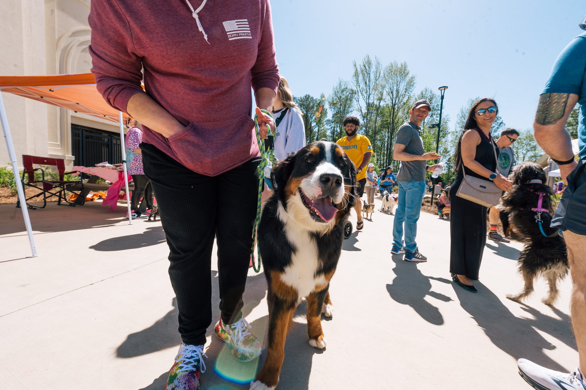 Pup Palooza Presented by Greater Huntsville Humane Society