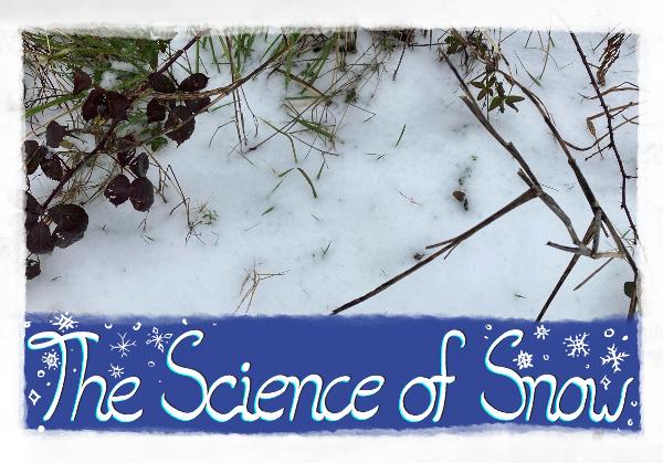 The Science of Snow