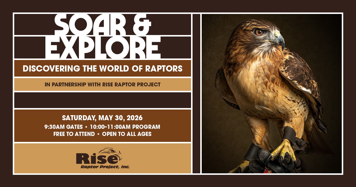Soar & Explore: Discovering the World of Raptors