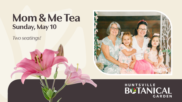 Mom & Me Tea