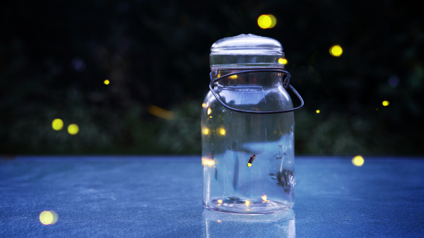 Firefly Garden Hike