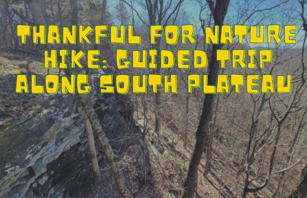 Thankful for Nature Hike
